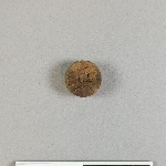 905576