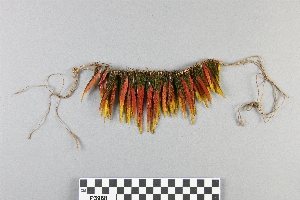 P3968