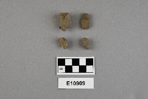 E10909