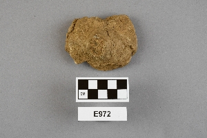 E972