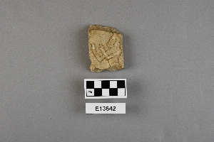 E13642
