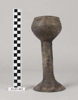 33-21-481