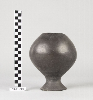 33-21-501