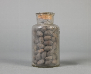 CG98-1-72.189