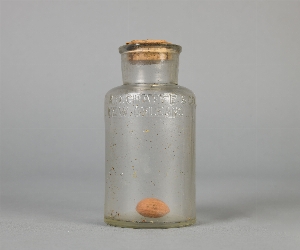 CG98-1-72.191