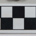 909044