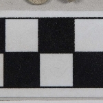 909269