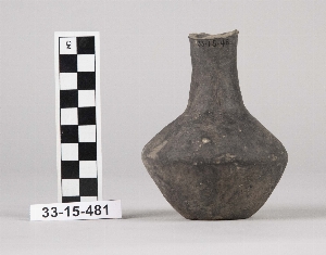 33-15-481