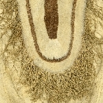 910532