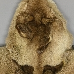 910553