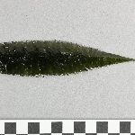910729