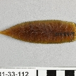 910742