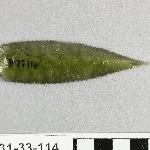910745