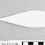 910750