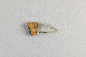 31-33-111