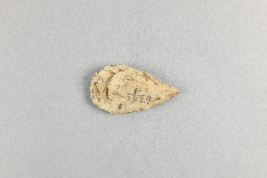 P2429