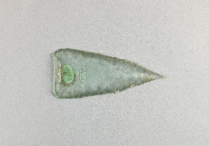 P4765
