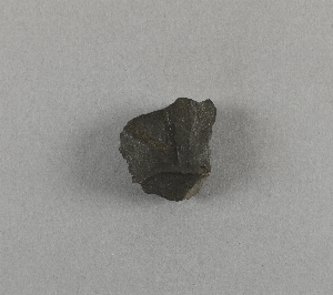 31-34-363