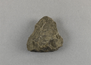 38-31-1