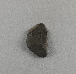 38-31-50