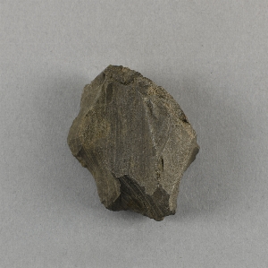 38-31-55