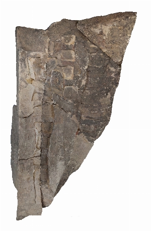 E16141.3