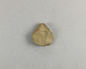 38-31-100