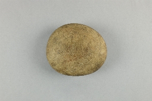 P1843