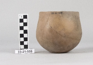 33-21-558