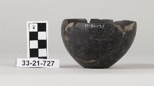 33-21-727