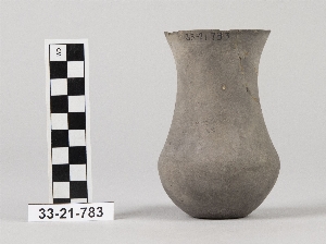 33-21-783