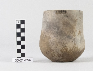 33-21-754