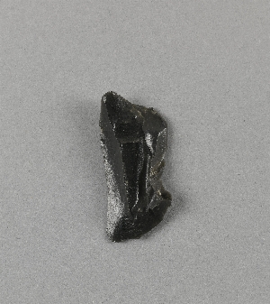 18149D