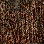 915685