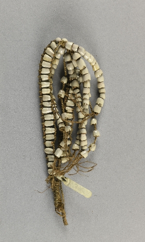 P3952