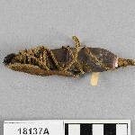 916366