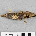 916367