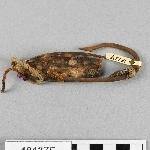 916379