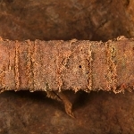 916641