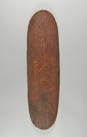 P1876A