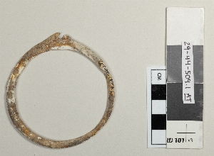 29-44-509.1