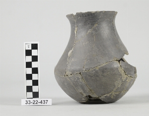 33-22-437