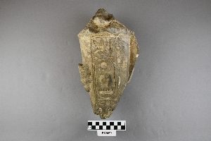 E12469