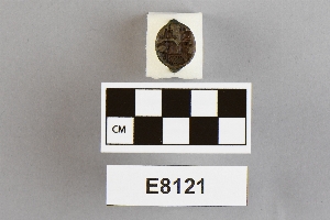 E8121