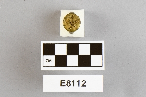 E8112