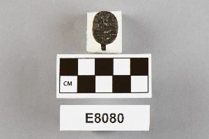 E8080
