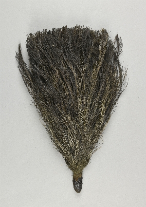31-33-56