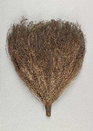 31-33-59