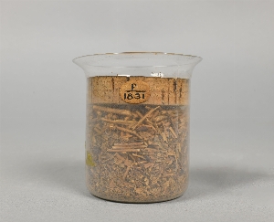 P1831