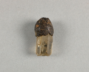 P1857B